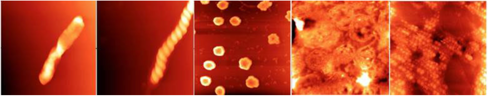 Large Structured Water Clusters