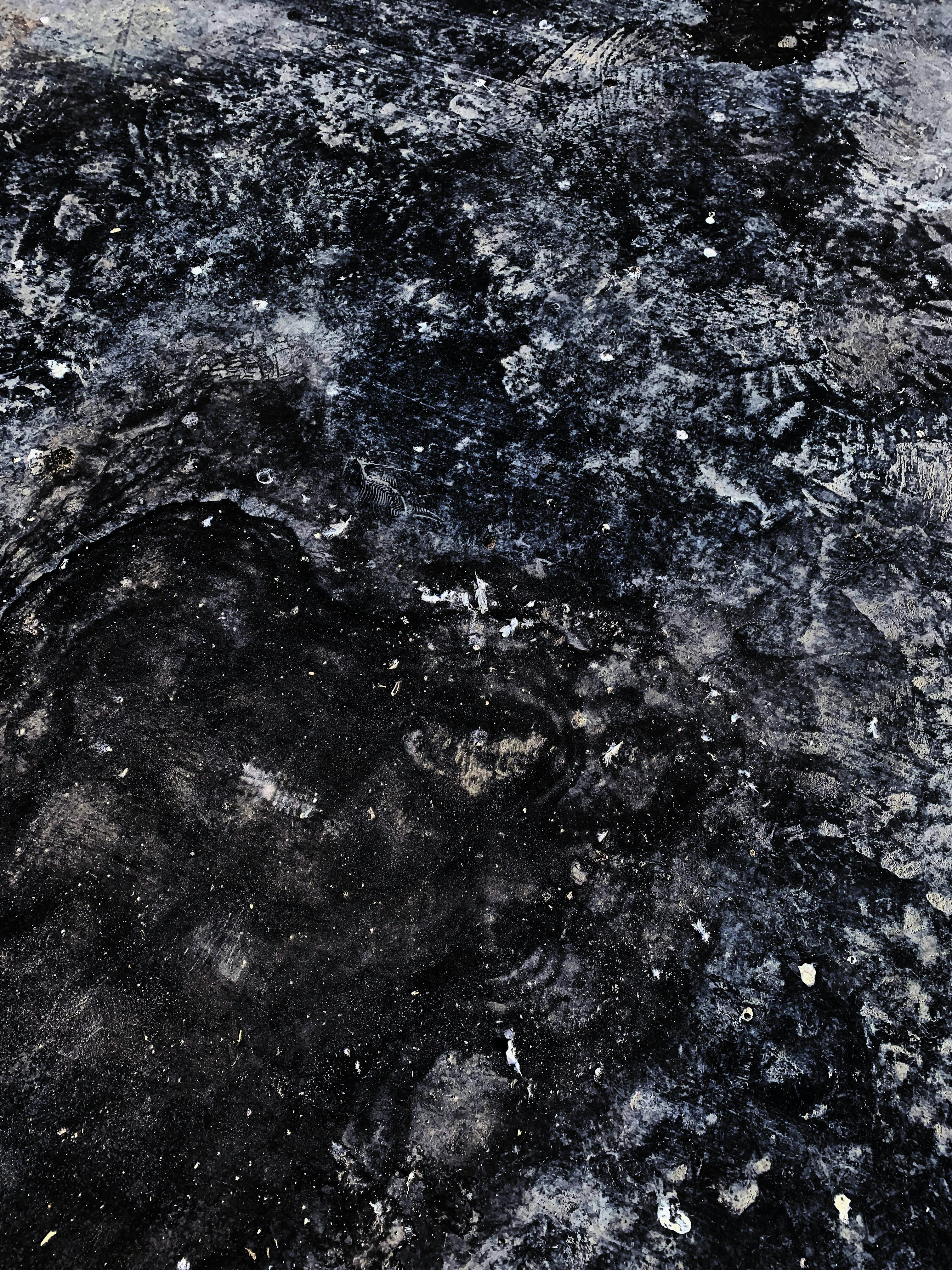 Water Quality: Science Fiction or Fact?