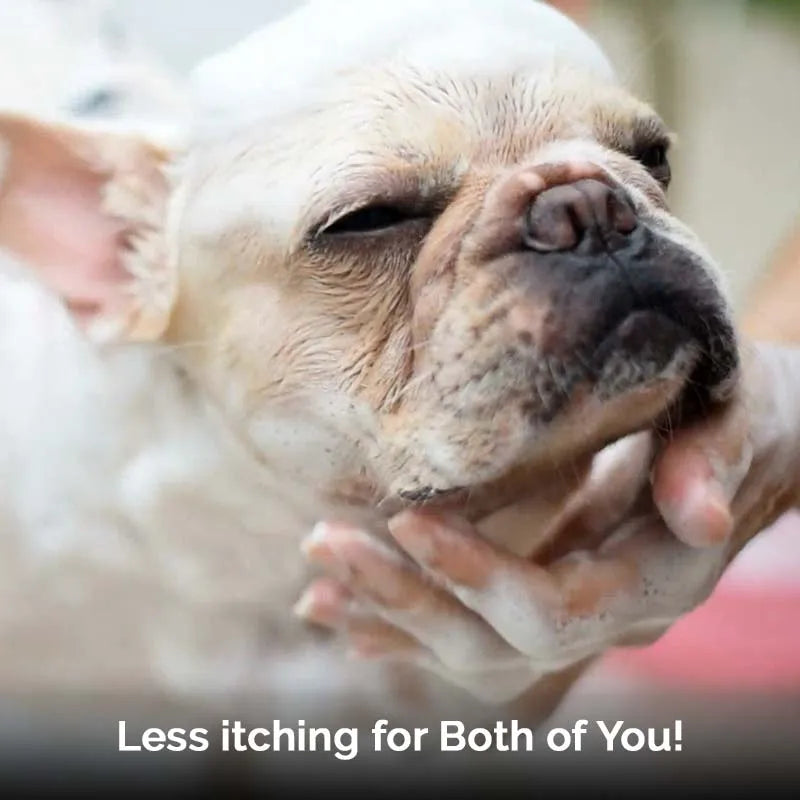 Natural Action Pets love Structured Water