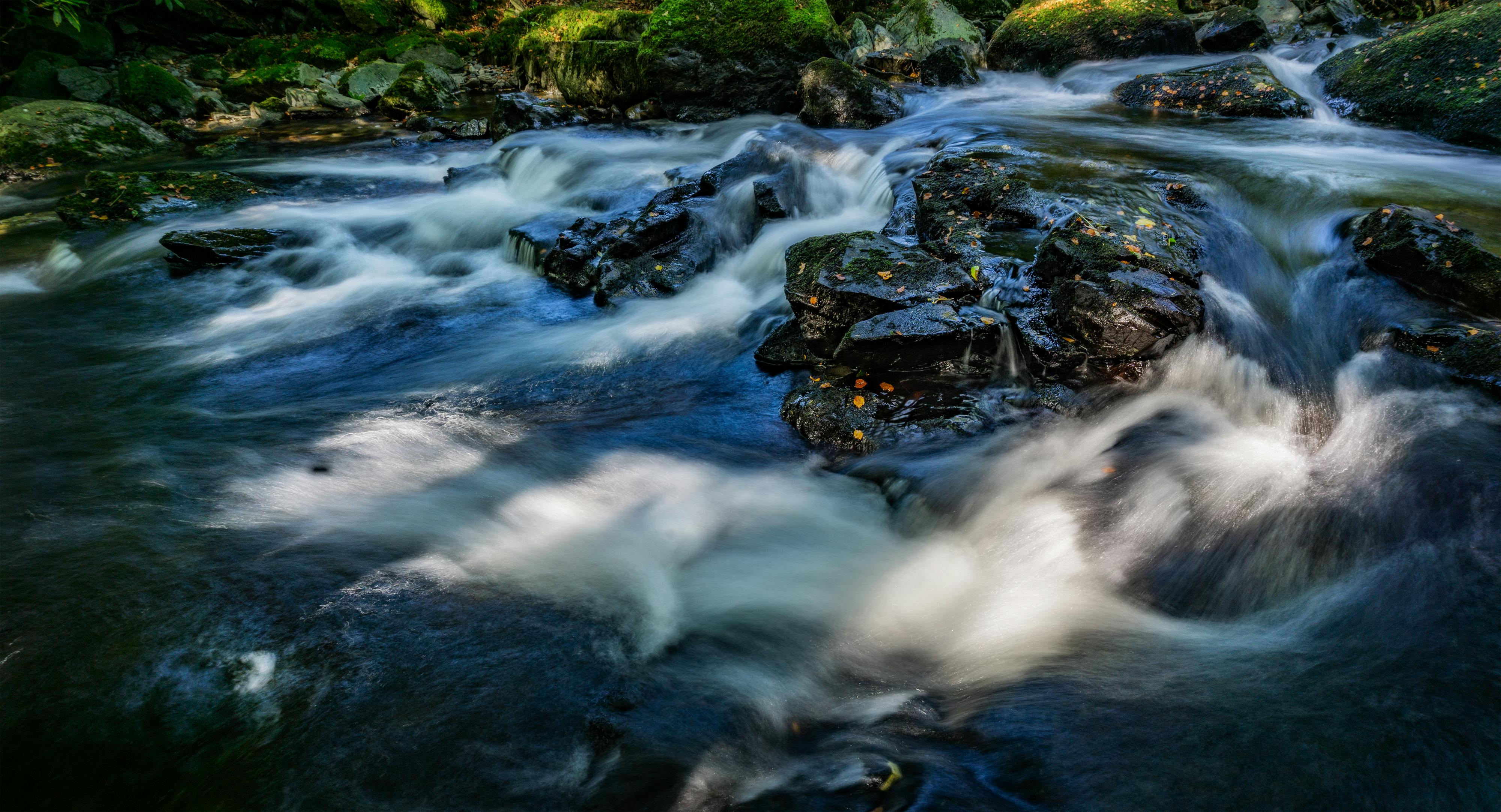 Viktor Schauberger: The Water Wizard