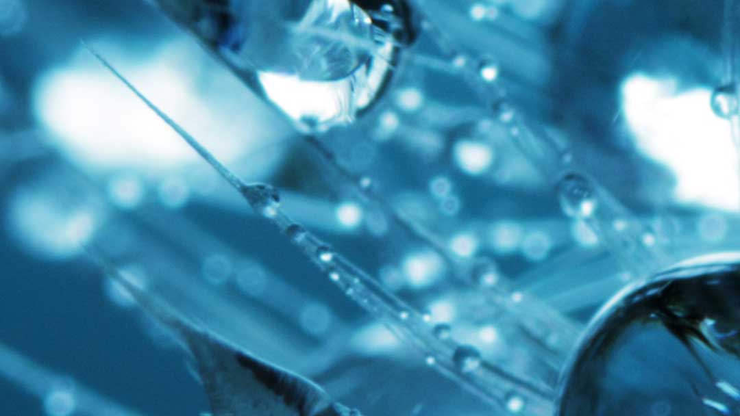 Structured Water: Is it worth the hype? Part 5