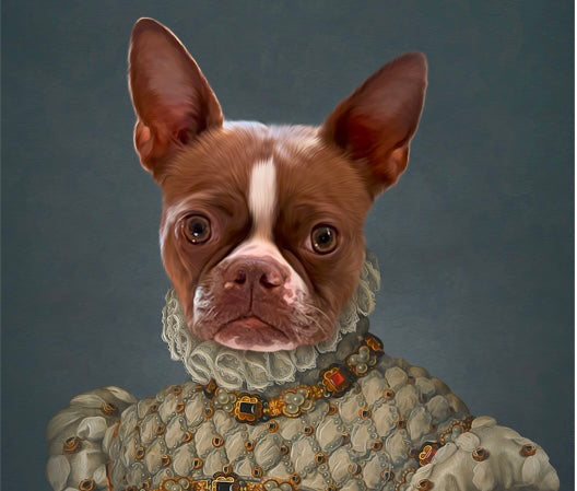 Why Structured Water Is One of the Best Gifts You Can Give Your Pets