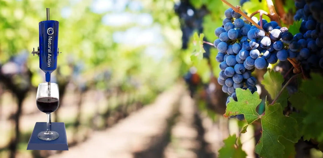 Red Wine: The Effects of Structuring from Bottle to Glass