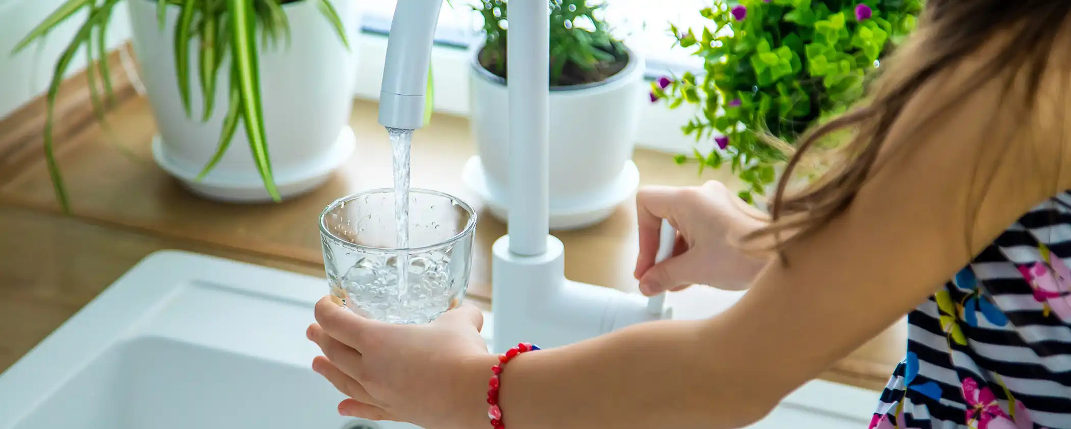Person filling a glass of water from a faucet connected to Natural Action Under Sink Unit  with plants in the background