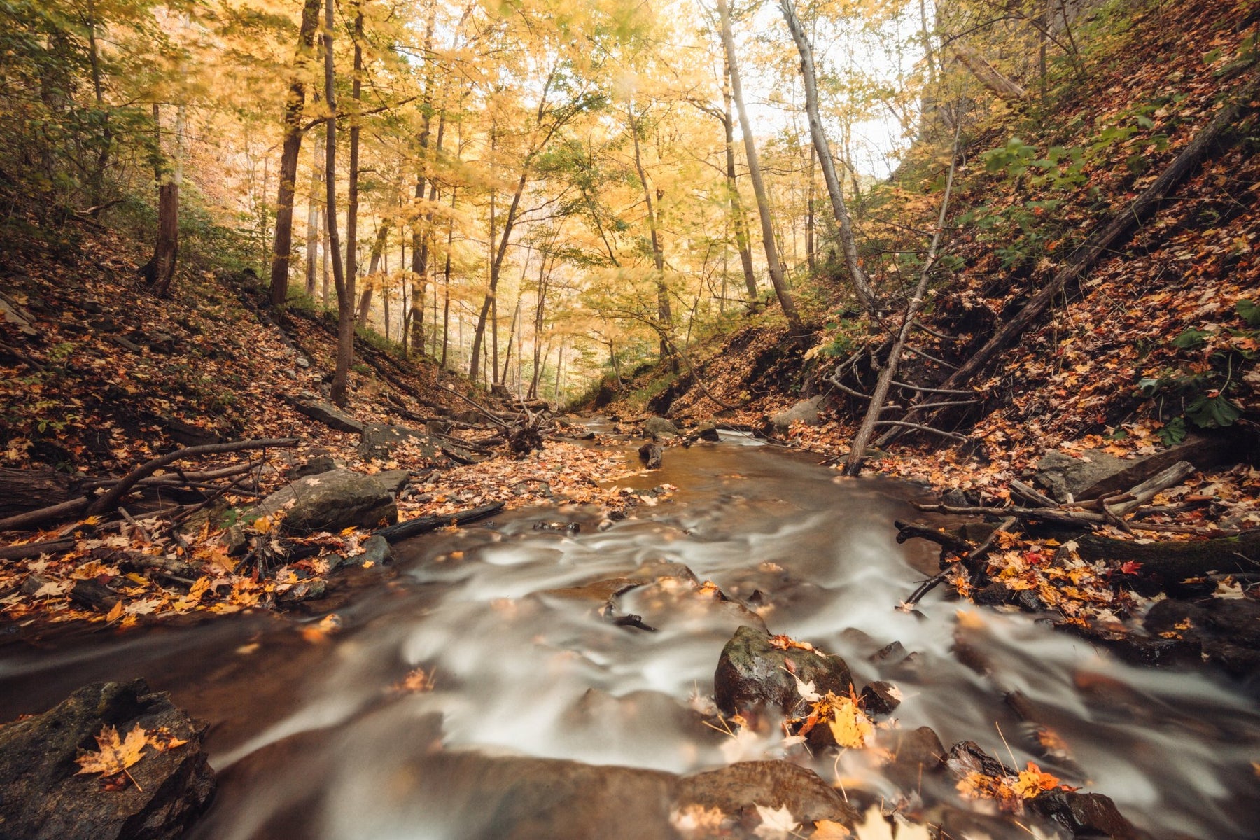 Natural Action flowing river fall 