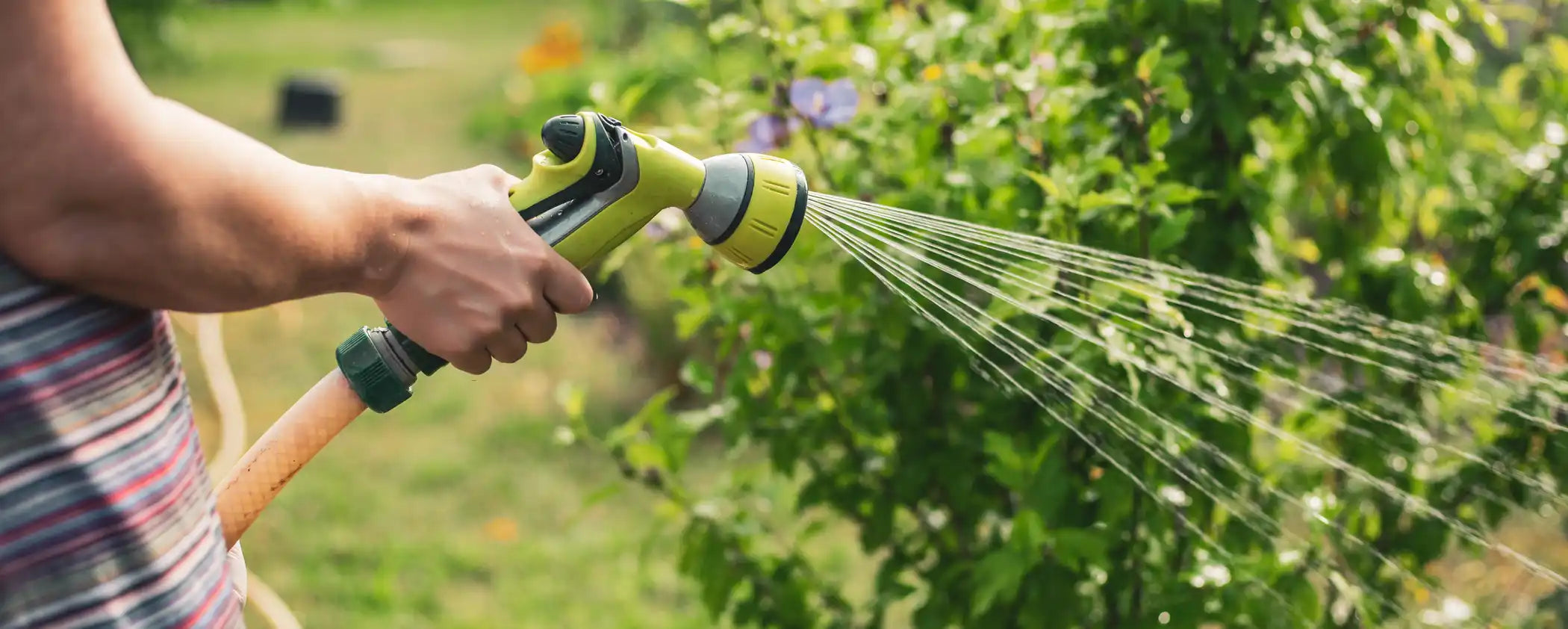 Person watering plants with a garden hose connected to Natural Action Garden Unit.