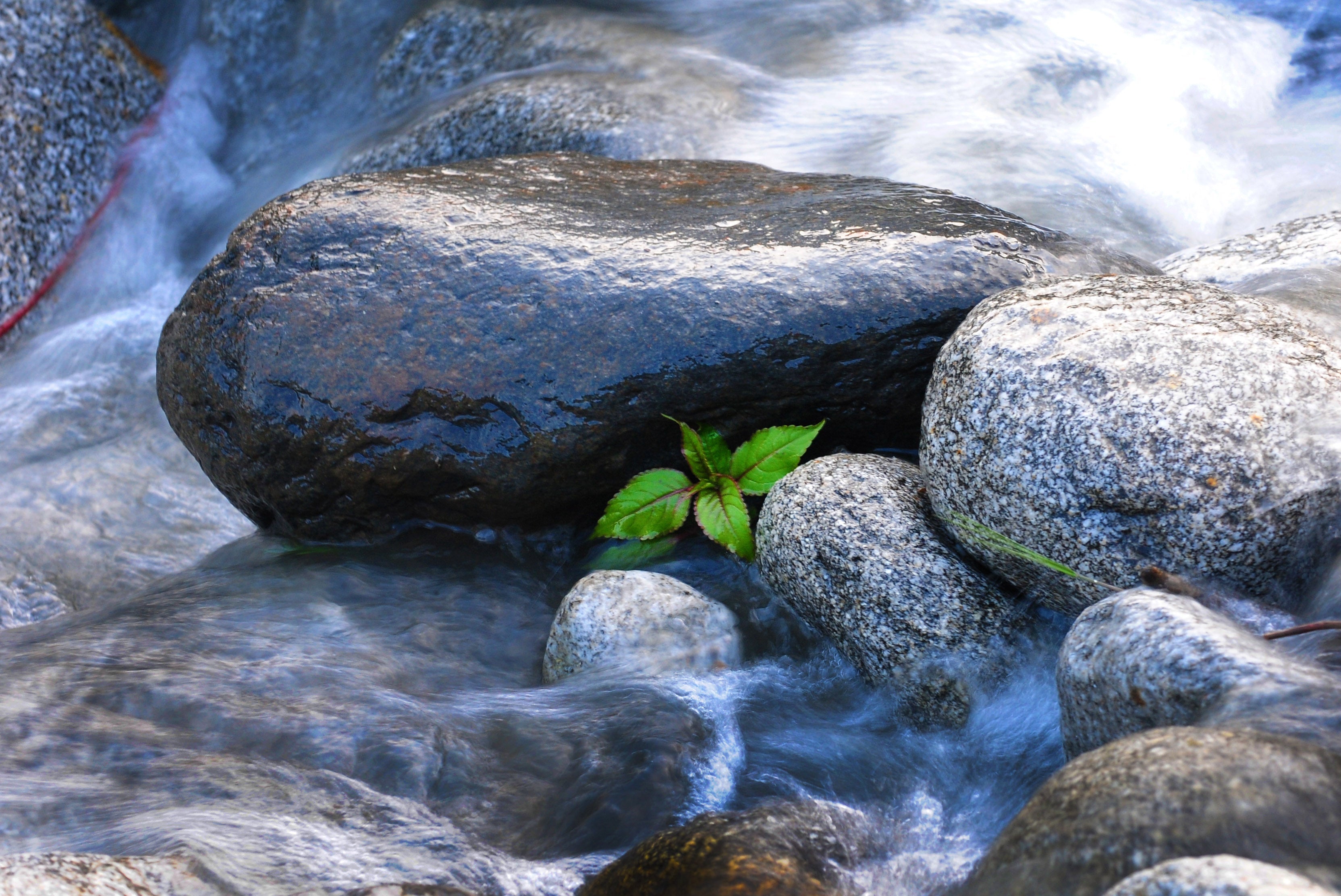 Natural Action round stones in rushing water Structured Water 