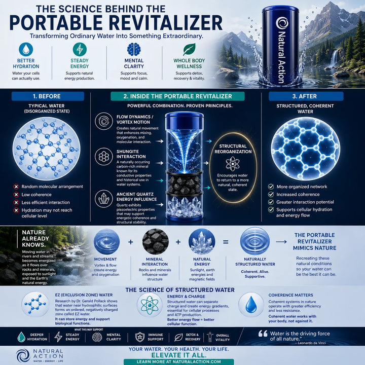 Infographic about the portable revitalizer by Natural Action, showing the process of transforming water.