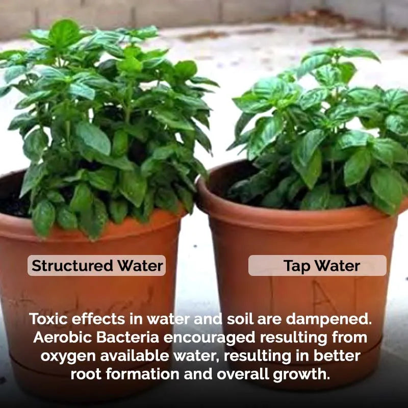 Natural Action Plant growth Structured Water 